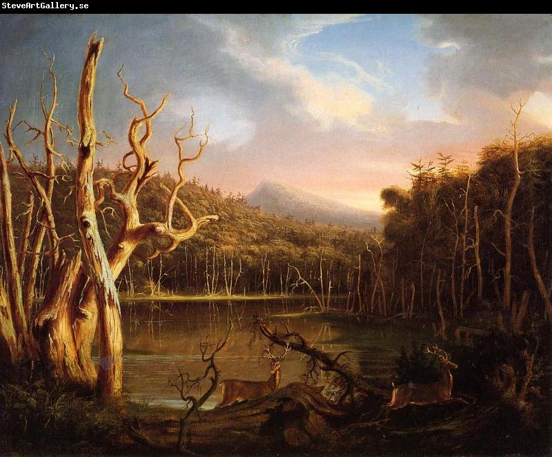 Thomas Cole Lake with Dead Trees